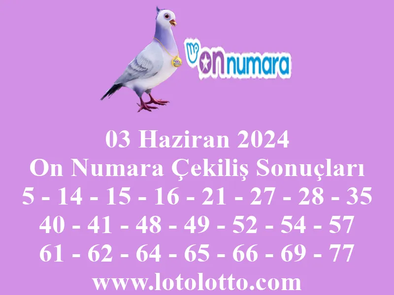 03 Haziran 2024 On Numara Çekiliş Sonuçları