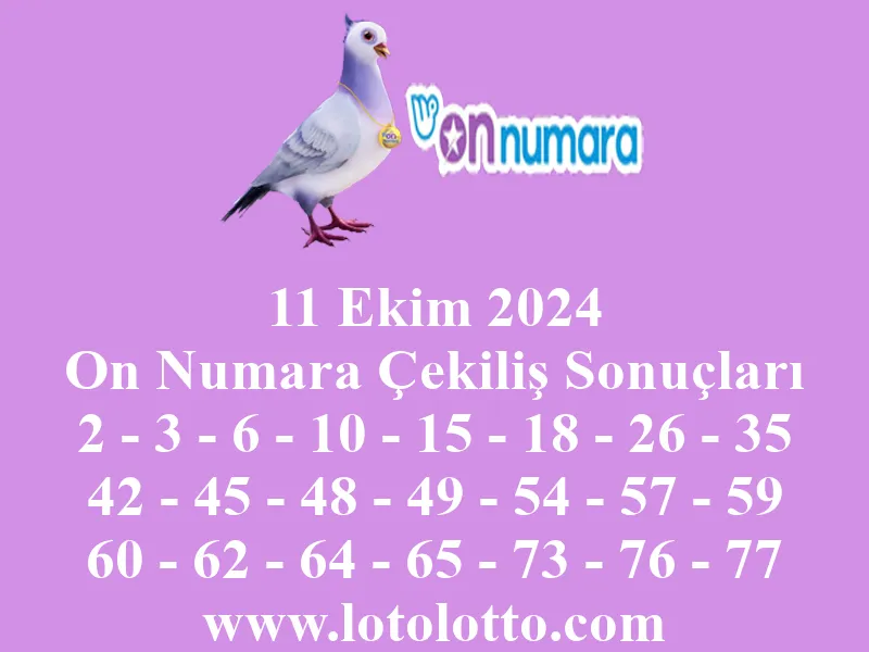 11 Ekim 2024 On Numara Çekiliş Sonuçları