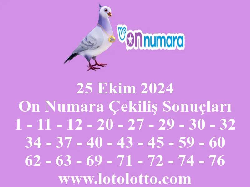 25 Ekim 2024 On Numara Çekiliş Sonuçları