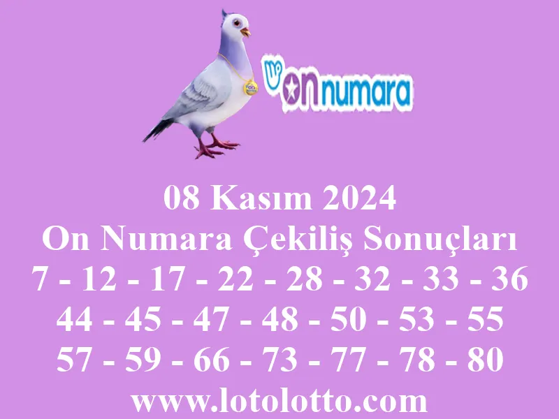 On Numara 08 Kasım 2024 Çekiliş Sonuçları