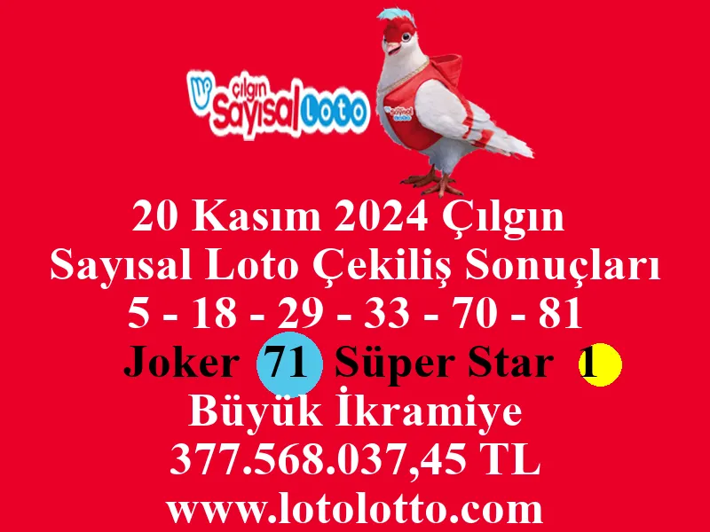 Sayısal Loto 20 Kasım 2024 Çekiliş Sonuçları