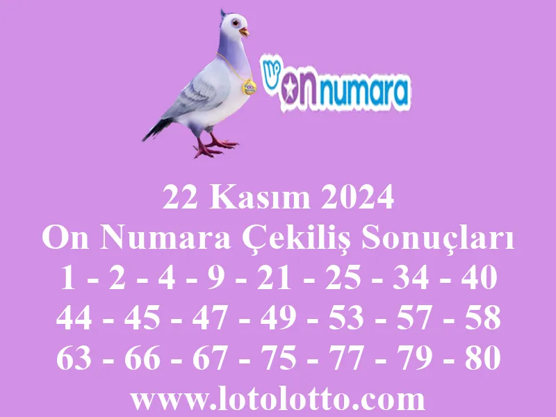 On Numara 22 Kasım 2024 Çekiliş Sonuçları