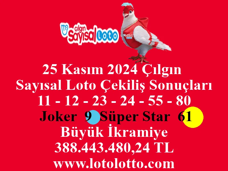 Sayısal Loto 25 Kasım 2024 Çekiliş Sonuçları