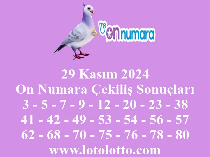 On Numara 29 Kasım 2024 Çekiliş Sonuçları