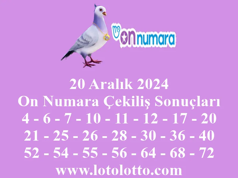 On Numara 20 Aralık 2024 Çekiliş Sonuçları